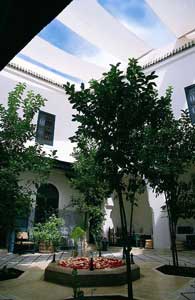 Marrakech maisons h&ocirc;te - Riad Dar Sara