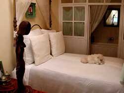 Chambre Venise riad essaouira - La Maison des Artistes